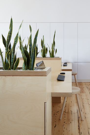 Birkenstock_HQ_04-office-desk-planter-detail_Photographer_Peter_Clarke